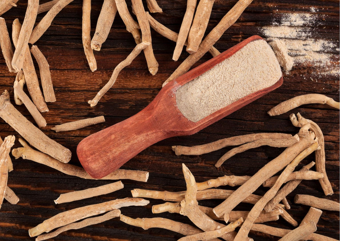 10 Proven Health Benefits of Ashwagandha Backed by Science