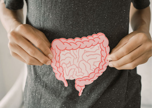 Everything you need to know about gut health