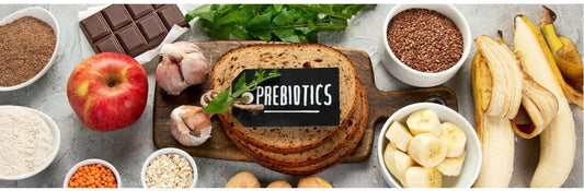 Prebiotics vs Probiotics - what's the difference?